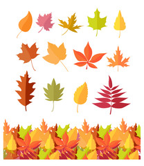 Set of Tree Leaf Icons. Autumn Leaves Isolated