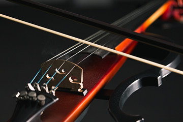 Electric violin isolated