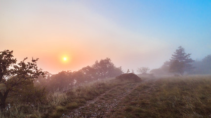 Foggy autumn evening in Val Rosandra