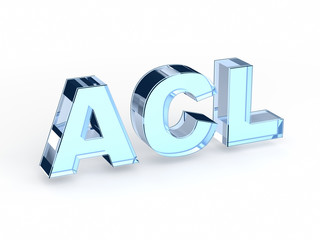 ACL (Access Control List)