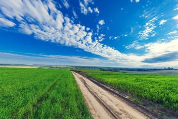 Green Field and Beautiful Sunset
