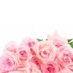 Low poly illustration Pink blooming fresh roses border on white background