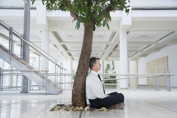 Full length side view of middle aged businessman meditating under tree in office