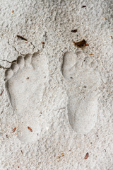 footprints on a sandy beach