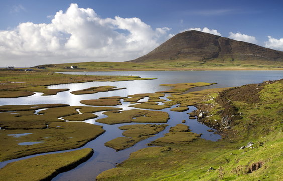 Sea Turf at Northton, near Leverburgh, Isle of Harris, Outer Hebrides, Scotland 