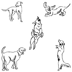Dogs. Sketch pencil. Drawing by hand. Vector
