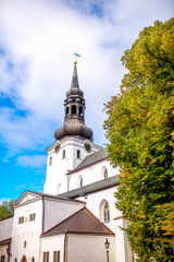 View on the cathedral of Saint Mary the Virgin in Tallinn. It is the oldest church in Estonia