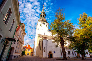 View on the cathedral of Saint Mary the Virgin in Tallinn. It is the oldest church in Estonia