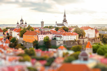 Obraz premium Aerial view from church tower on the old town of Tallinn on the sunset in Estonia. Image with tilt-shift lens effect