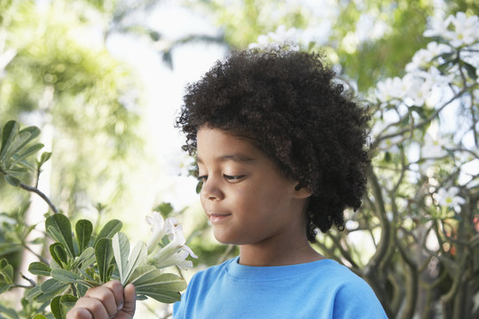 Closeup Of Cute Boy Smelling Flowers In Garden