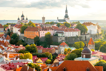Aerial view from church tower on the old town of Tallinn on the sunset in Estonia - obrazy, fototapety, plakaty
