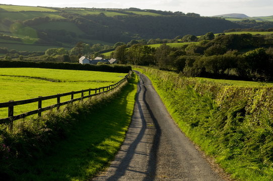 Lane, North Exmoor, Devon