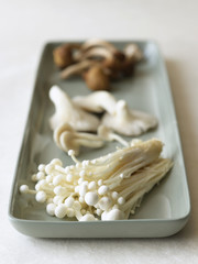 Closeup of variety of mushrooms in serving tray