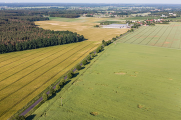 Fototapeta premium aerial view of the harvest fields