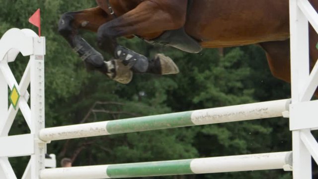 SLOW MOTION CLOSEUP: Sport horse jumping the fence in showjumping course