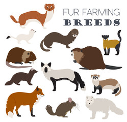 Fur farming. Flat design