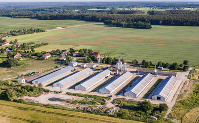 aerial view of the  harvest fields