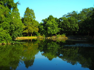 Fototapeta premium 秋の池畔風景