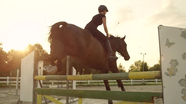 CLOSE UP: Young woman rider and a horse jumping over a fence on arena at sunset
