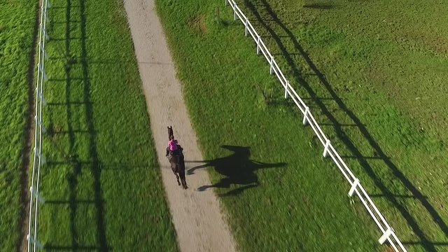 AERIAL: Female horseback riding powerful stallion on walkway on horse ranch
