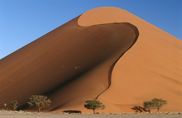 Fototapeta na wymiar Namibia Namib Desert sand dunes