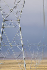 Electrical pylons in desert