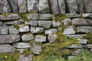 Stone wall close-up