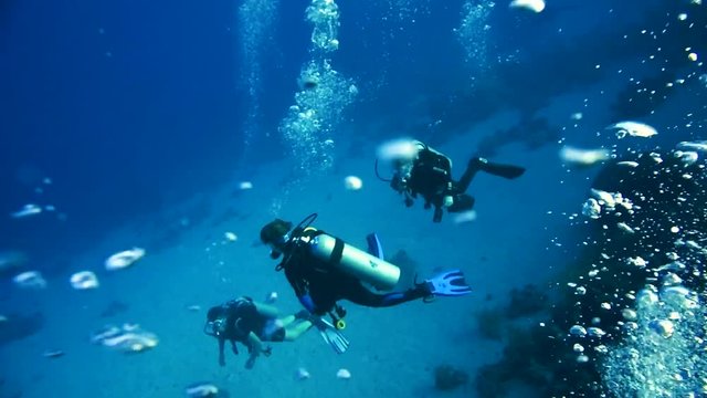 Group of scuba divers ascending on water surface in Egypt.