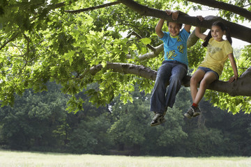 Full length of happy brother and sister relaxing on tree branch