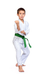 karate boy © Andrey Kiselev
