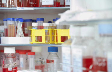 Closeup of chemical bottles on shelf in the laboratory