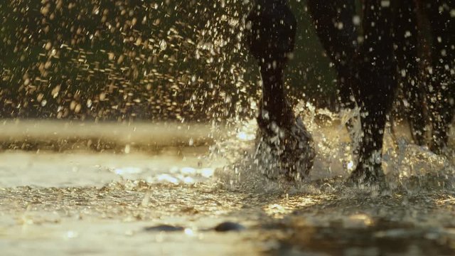 CLOSE UP: Detail of horse's legs splashing in refreshing river at golden sunset