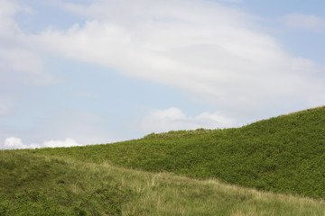 Fototapeta na wymiar Grassy hillside