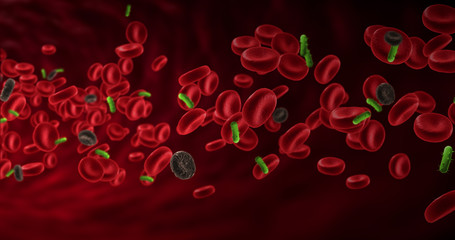 red blood cells in an artery with diseased cells near virus and bacteria, flow inside body