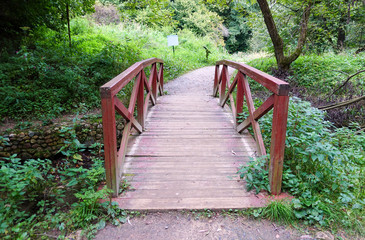 Wooden bridge in the woods