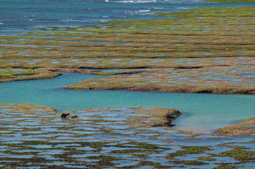 Peninsula Valdes, Landscape, Patagonia