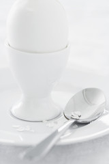 Egg in egg cup on saucer studio shot