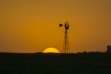 Pampas landscape, Argentina