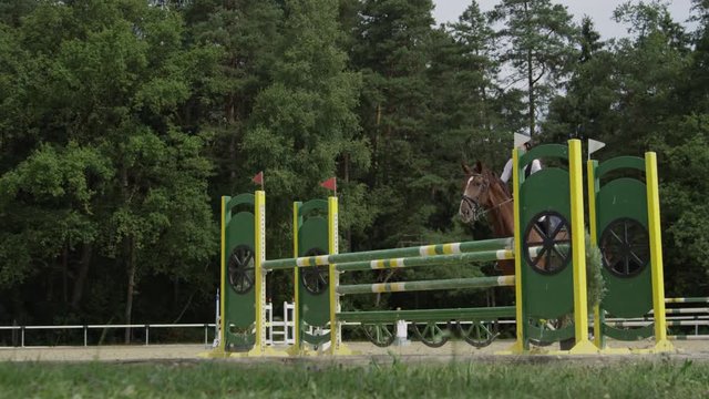 SLOW MOTION: Young woman rider jumping over oxer fence on strong brown horse