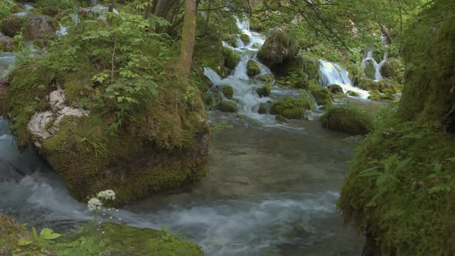 Beautiful whitewater river flowing through the lush green forest in spring