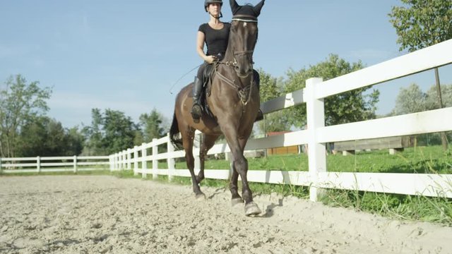CLOSE UP: Young female and dark bay stallion doing canter in sandy manege
