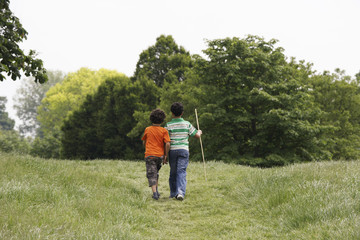 Naklejka na ściany i meble Full length rear view of two brothers walking in field