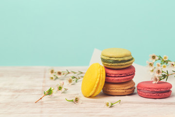Macarons with flowers over mint background