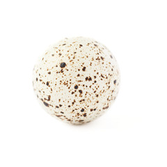 Quail egg isolated over white background