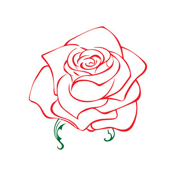 Rose sketch. Flower design element. Vector illustration. Elegant floral outline design. Red symbol isolated on white background. Abstract rose. Good for design, logo or decoration