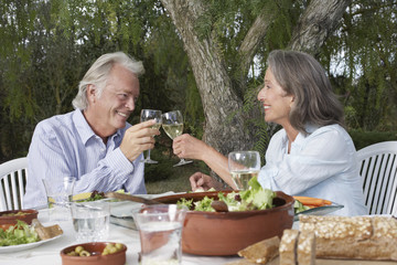 Happy mature couple toasting wineglasses at table in the garden
