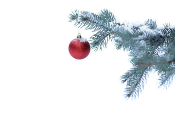 Christmas ball with pine branch