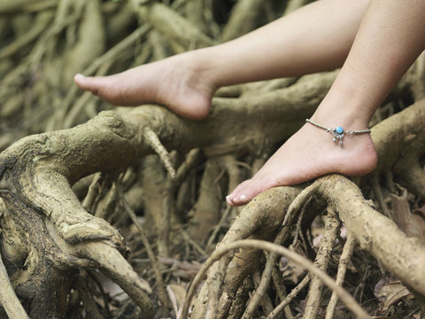 Closeup of a young woman's bare feet on roots
