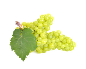 green grape isolated on white