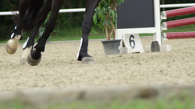 SLOW MOTION CLOSE UP: Black horse cantering in equestrian showjumping show